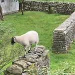 The Old Cart House, Pet Friendly In Garsdale Near בית נופש סדברג