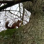 בית נופש The Old Cart House, Pet Friendly In Garsdale Near *