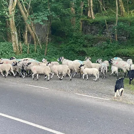 The Old Cart House, Pet Friendly In Garsdale Near *