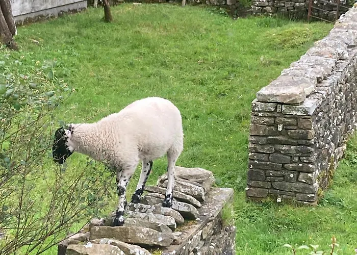 The Old Cart House, Pet Friendly In Garsdale Near 度假居 塞德伯
