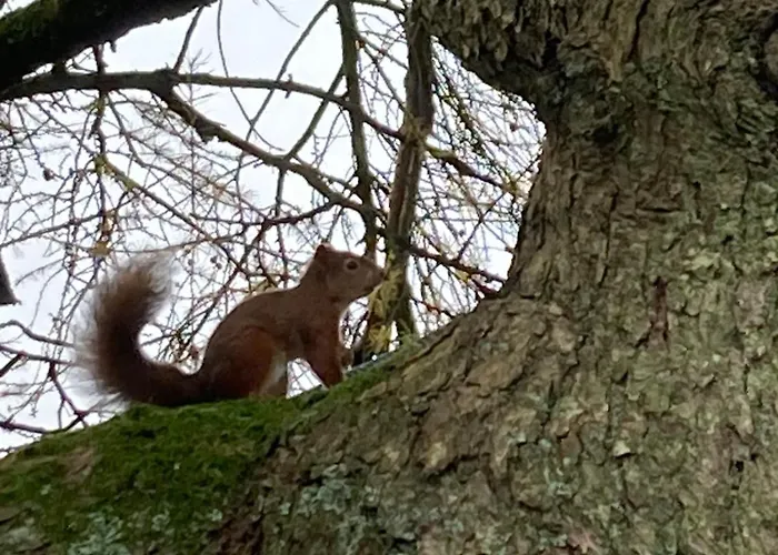 度假居 The Old Cart House, Pet Friendly In Garsdale Near *