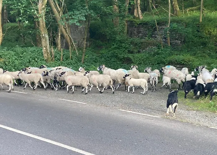 The Old Cart House, Pet Friendly In Garsdale Near *